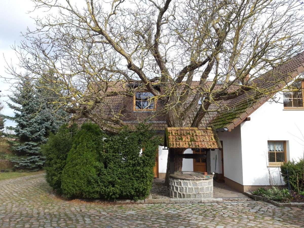 Ein Bett Im Kornfeld - Haus Morgensonne - Mit Innenpool Schonfeld  Bagian luar foto