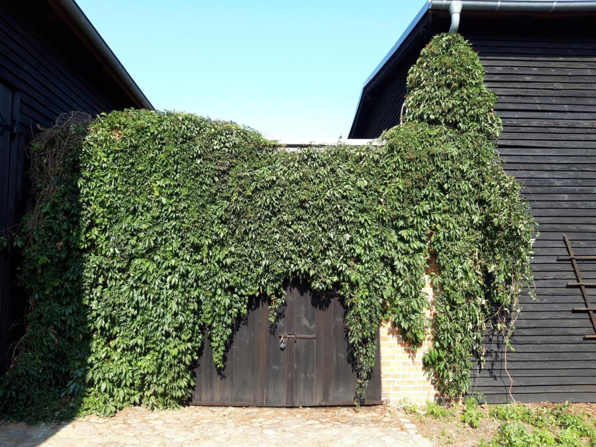 Ein Bett Im Kornfeld - Haus Morgensonne - Mit Innenpool Schonfeld  Bagian luar foto