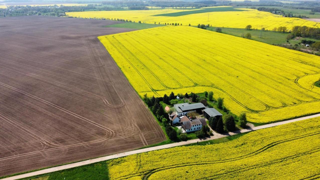 Ein Bett Im Kornfeld - Haus Morgensonne - Mit Innenpool Schonfeld  Bagian luar foto