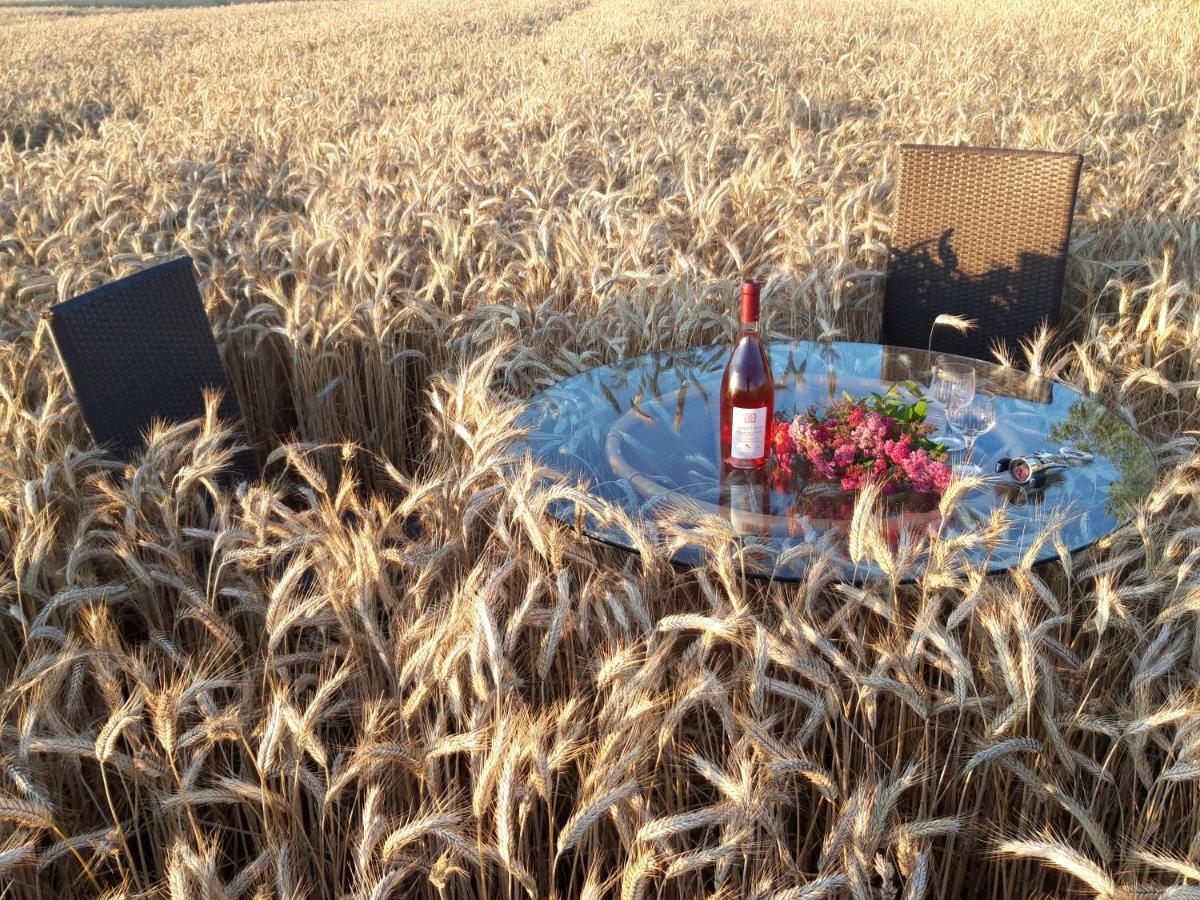 Ein Bett Im Kornfeld - Haus Morgensonne - Mit Innenpool Schonfeld  Bagian luar foto